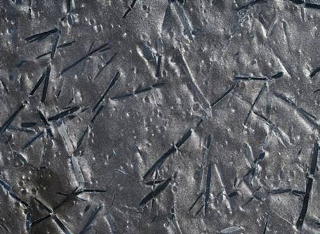 高端石材“挪威森林”成為熱門(mén)石材